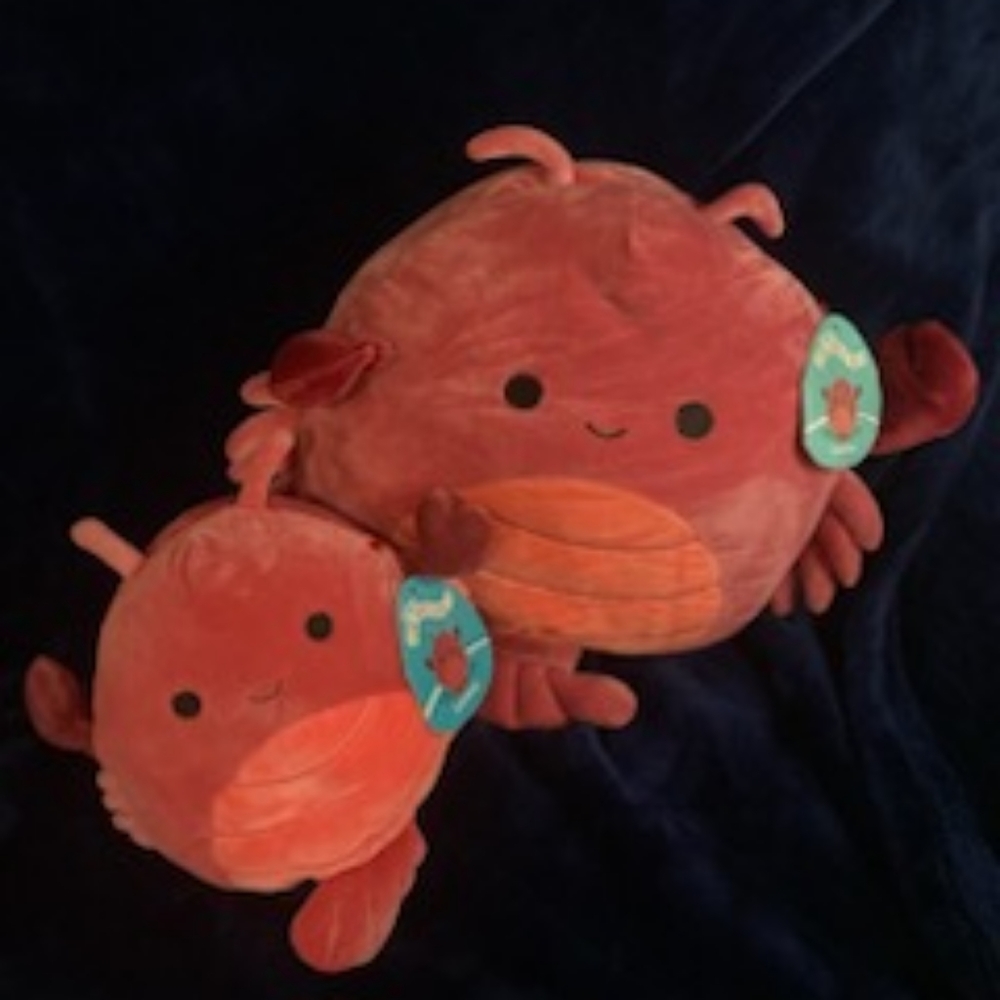 Lobster squishmallows